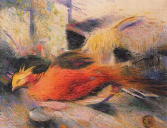 Still Life with Japanese Golden Pheasant
